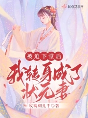 被迫下堂后我转生成了状元妻